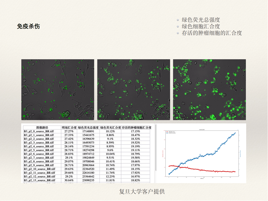 圖片0 1.png 圖片0 1.png
